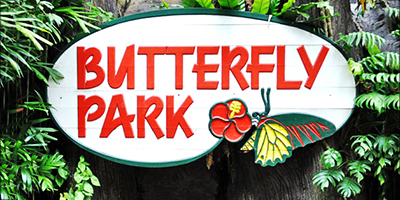 Vé tham quan Singapore Buttertly Park & Insect Kingdom giá tốt 2025
