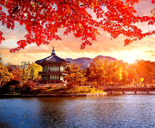 Du lịch mùa Thu - Tour Du lịch Hàn Quốc - Seoul từ Hà Nội giá tốt