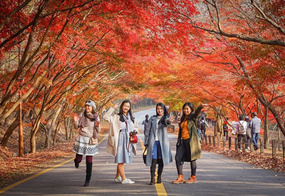 [Siêu HOT] Miễn Visa Du lịch mùa Thu Tour Hàn Quốc Soraksan - Incheon - Seoul từ Sài Gòn 2025