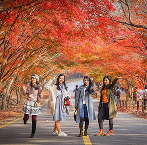[Siêu HOT] Miễn Visa Du lịch mùa Thu Tour Hàn Quốc Soraksan - Incheon - Seoul từ Sài Gòn 2025