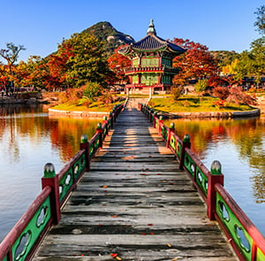 Du lịch Hàn Quốc mùa Thu Seoul - Incheon - Everland -Tháp Namsan từ Sài Gòn
