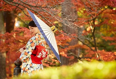 Du lịch mùa Thu - Tour Nhật Bản Tokyo - Nikko - Fuji - Nagoya từ Sài Gòn 2025