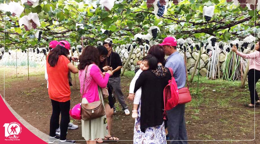 Tour du lịch Nhật Bản 5 ngày mùa Thu trải nghiệm hái trái cây từ Sài Gòn giá tốt 2025