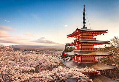 Tour du lịch Nhật Bản mùa hoa Anh Đào khởi hành từ Sài Gòn giá tốt 2025