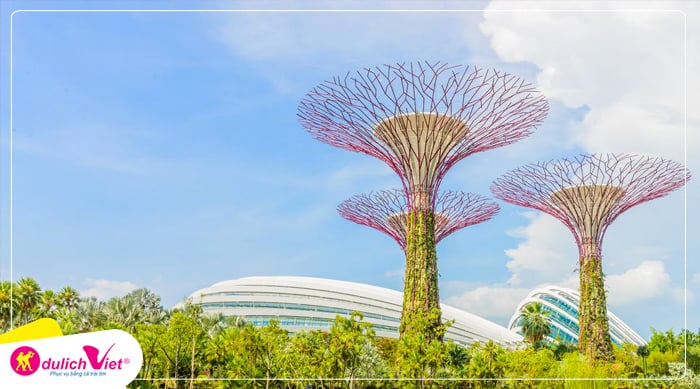 tua-singapore-he-du-lich-viet