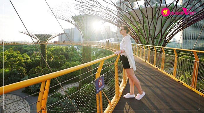 tour-he-singapore-garden-by-the-bay-du-lich-viet(1)