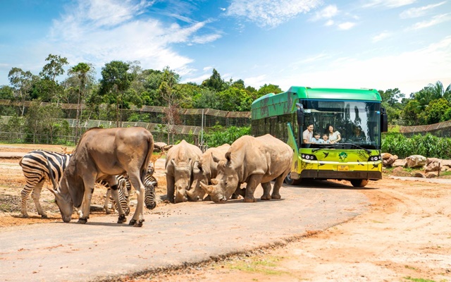 Khu Safari hoang dã tại Vinpearl Safari Phú Quốc