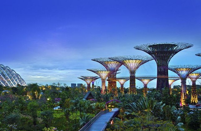 Khu vườn trên vịnh Marina - Vườn địa đàng giữa lòng Singapore