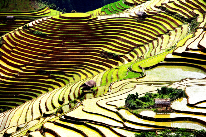 ruộng bậc thang Yên Bái - La Pán Tẩn