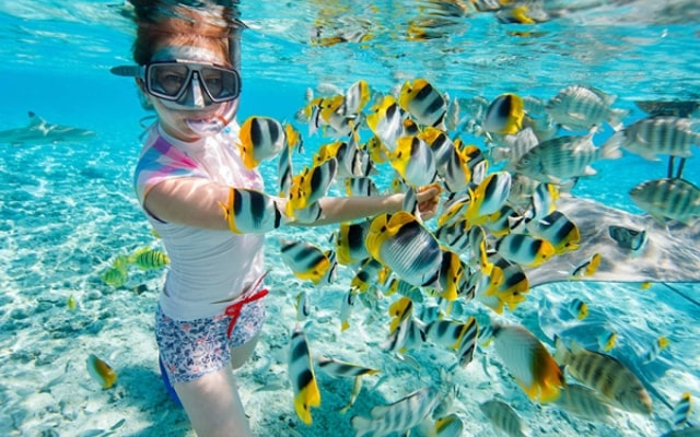 Lặn biển ngắm san hô tại đảo Boracay