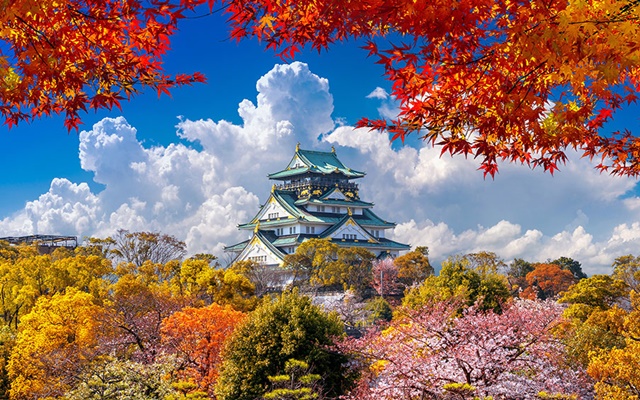 Check in lâu đài Osaka Nhật Bản