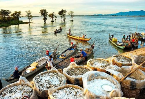 Mùa nước nổi An Giang