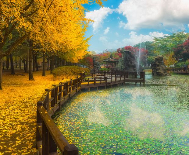 Du lịch Hàn Quốc mùa Thu - Seoul - Nami - Everland - Hái Lê/Táo từ Hà Nội 2025