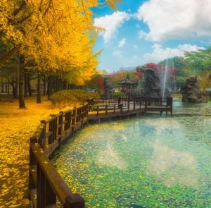 Du lịch Hàn Quốc mùa Thu - Seoul - Nami - Everland - Hái Lê/Táo từ Hà Nội 2025