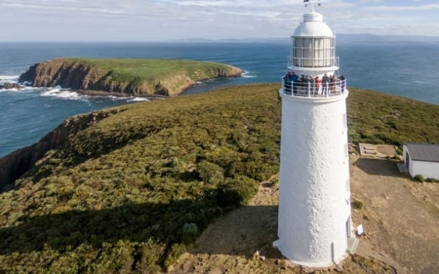 Đến ngọn hải đăng Cape Bruny ngắm cảnh