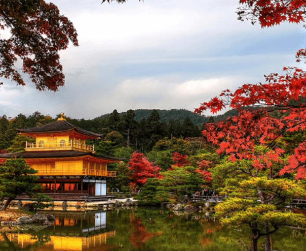 Du lịch mùa Thu - Tour Nhật Bản Osaka - Nara - Kyoto - Fuji Moutain - Oshino Hakkai - Tokyo từ Hà Nội