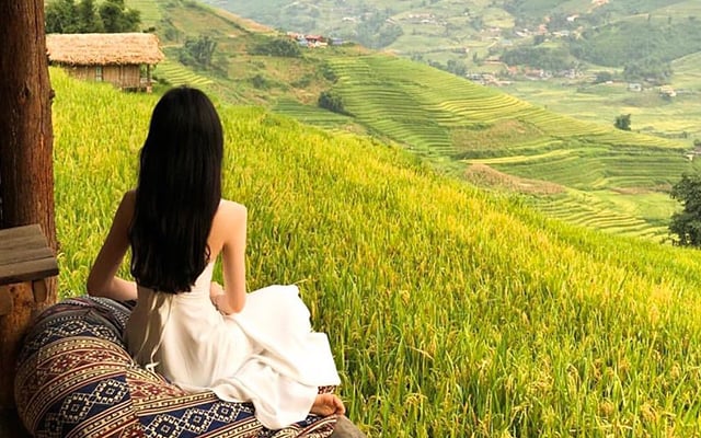 Homestay ngắm cảnh mùa thu Tây Bắc