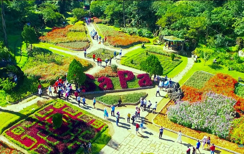 p>