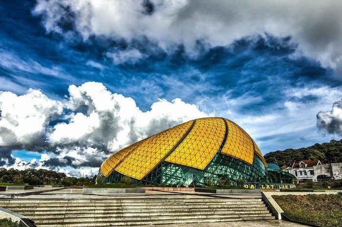 Hoa dã quỳ là một biểu tượng của thành phố Đà Lạt