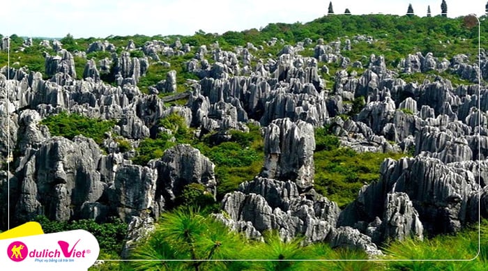rung-da-thach-lam-trung-quoc-du-lich-viet