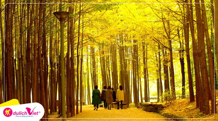 hanbok-seoul-du-lich-viet