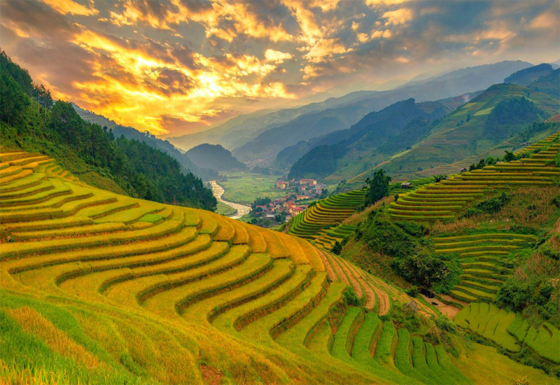 Ruộng bậc thang Chế Cu Nha ở Hà Giang