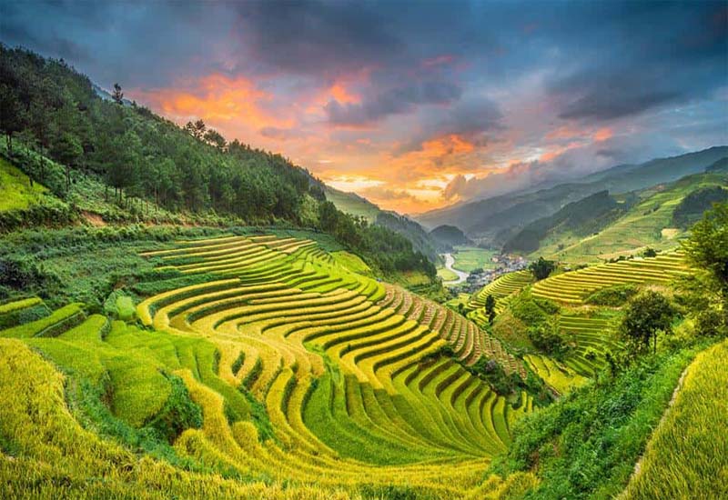 Ruộng bậc thang Mường Than - một trong những bức tranh thiên nhiên tuyệt đẹp
