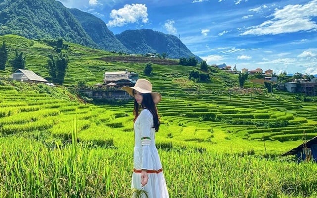 Check in tại những thửa ruộng bậc thang Sapa
