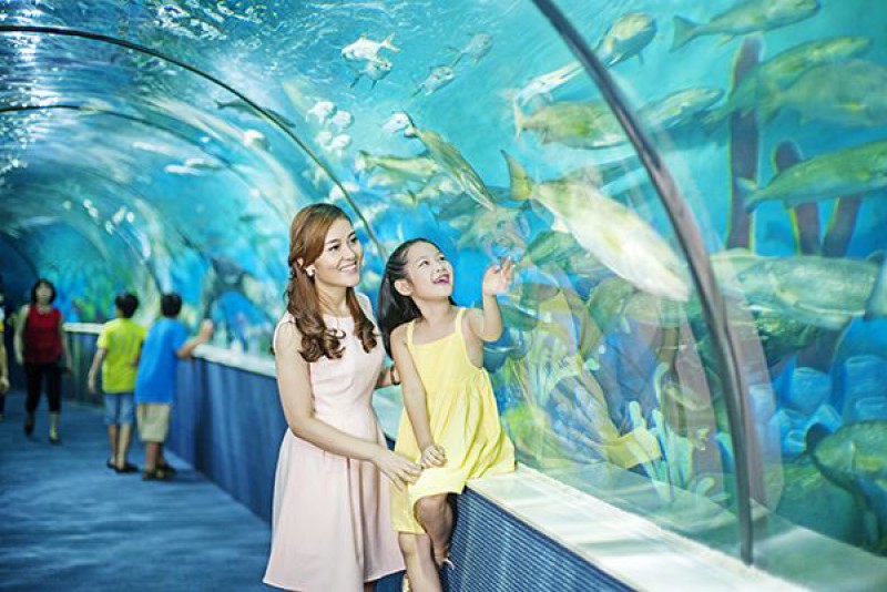 Thế giới thủy cung như không gian đại dương thu nhỏ kỳ ảo tại VinWonders Phú Quốc