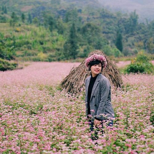 Du khách chụp ảnh với hoa tam giác mạch