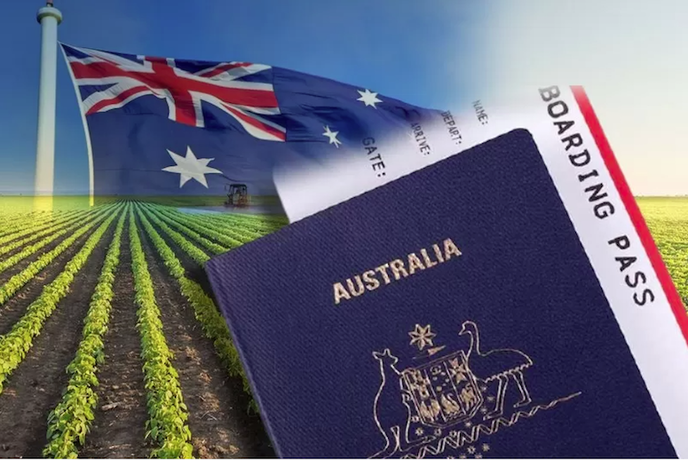 Visa 403 Úc là gì? Điều kiện, quyền lợi và cách xin visa 403