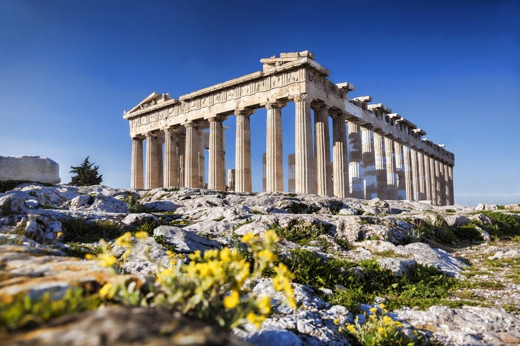 p>