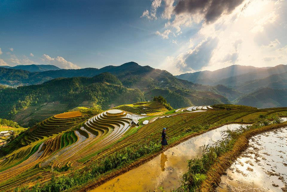 Mù Cang Chải mùa nước đổ đẹp nao lòng