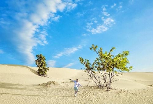 p>