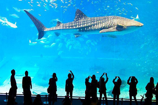 Thủy cung Sea Life Bangkok Ocean World